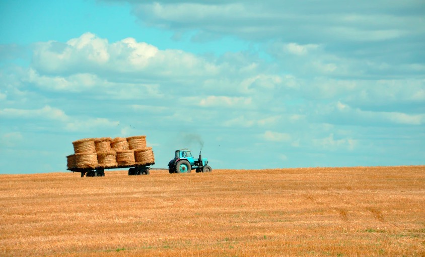 what-caused-the-agricultural-revolution-accident-probably-shortform