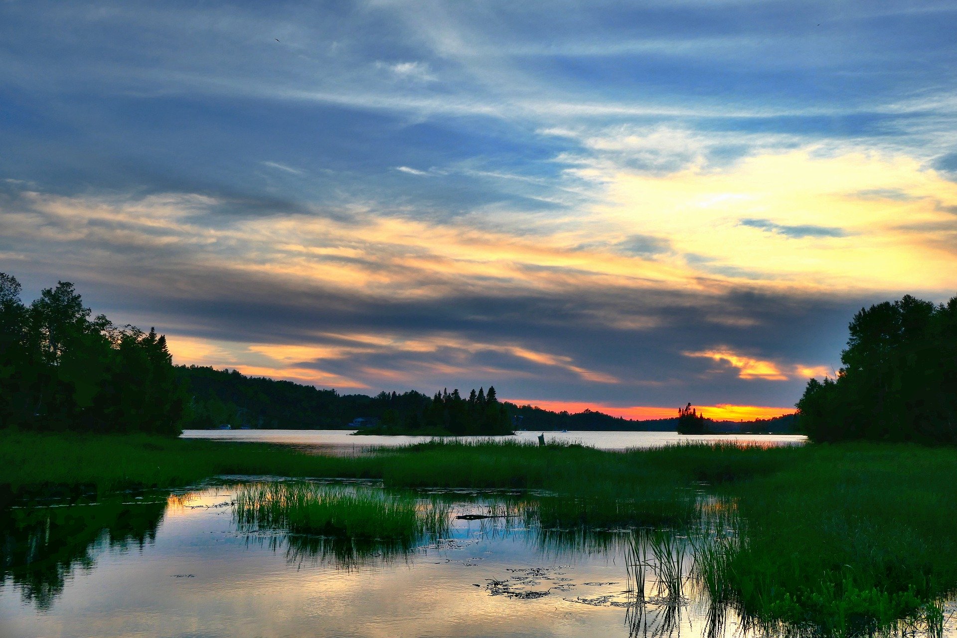 In Where The Crawdads Sing The Marsh Is Alive Shortform Books