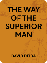 Advice From The Way Of The Superior Man David Deida Shortform Books