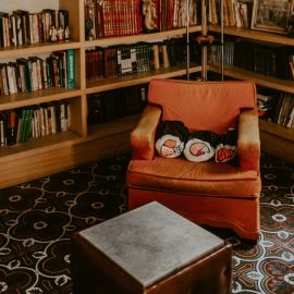 How to Set Up a Home Library: A Haven for Book Lovers