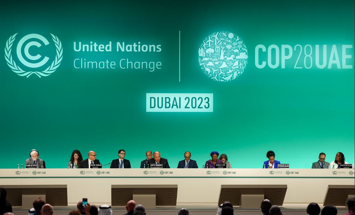 2023 UN Climate Change Conference (COP28) Overview Shortform Books