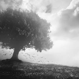 a silhouette of a person standing alone in a field by a big tree under a cloudy sky illustrates the effects of grief