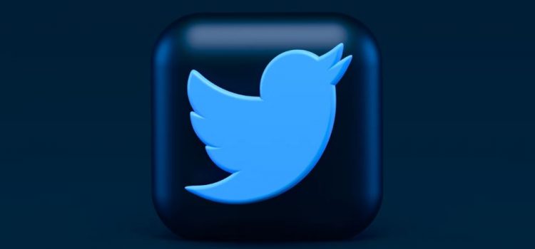 The Twitter bird icon on a 3D square
