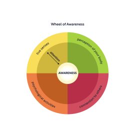 A diagram of the Wheel of Awareness for meditation practice