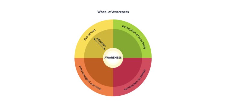 A diagram of the Wheel of Awareness for meditation practice