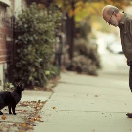 An older man on a sidewalk looking at a black cat, trying to avoid bad luck