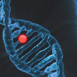 A DNA molecule with a red spot illustrates the question, "What is random mutation?"